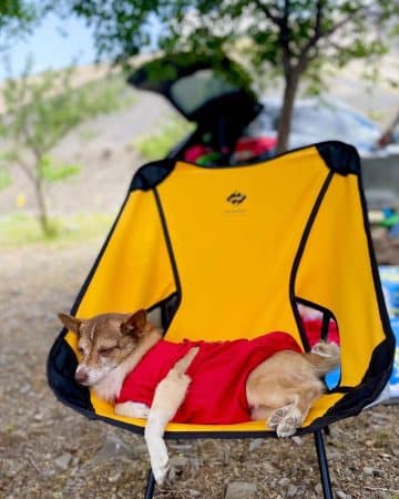 گالری تصاویر ارسالی از مشتریان