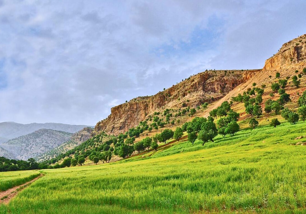 کمپینگ در پاییز