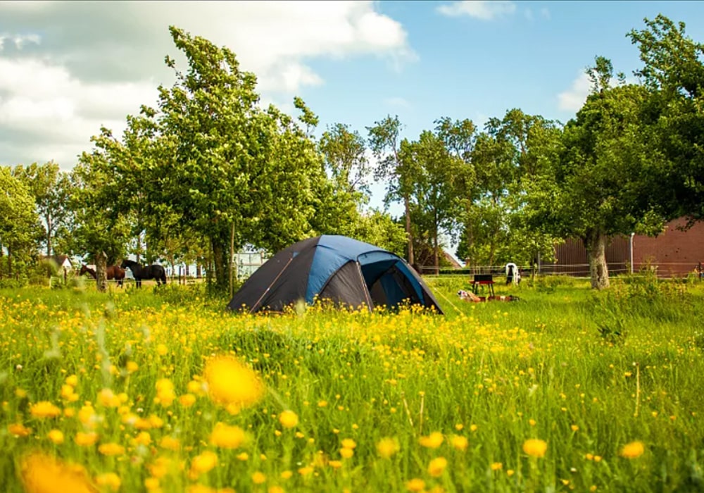 spring camping
