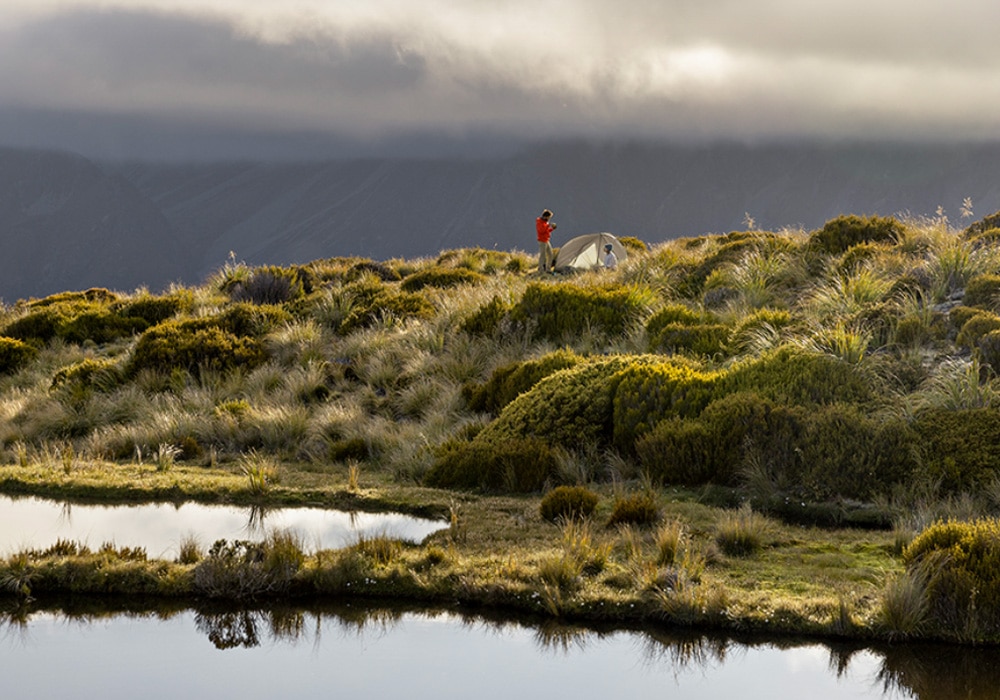 Autumn Tent Condensation